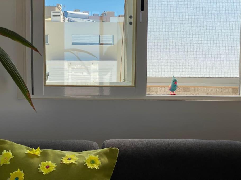 Superstar Terrace Διαμέρισμα Φάρο Εξωτερικό φωτογραφία